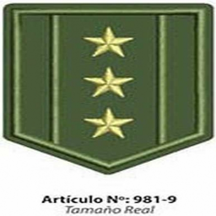 Aplicacion escudo verde militar x 6 uni