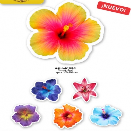 Aplic.estamp. flores hibiscus x 6